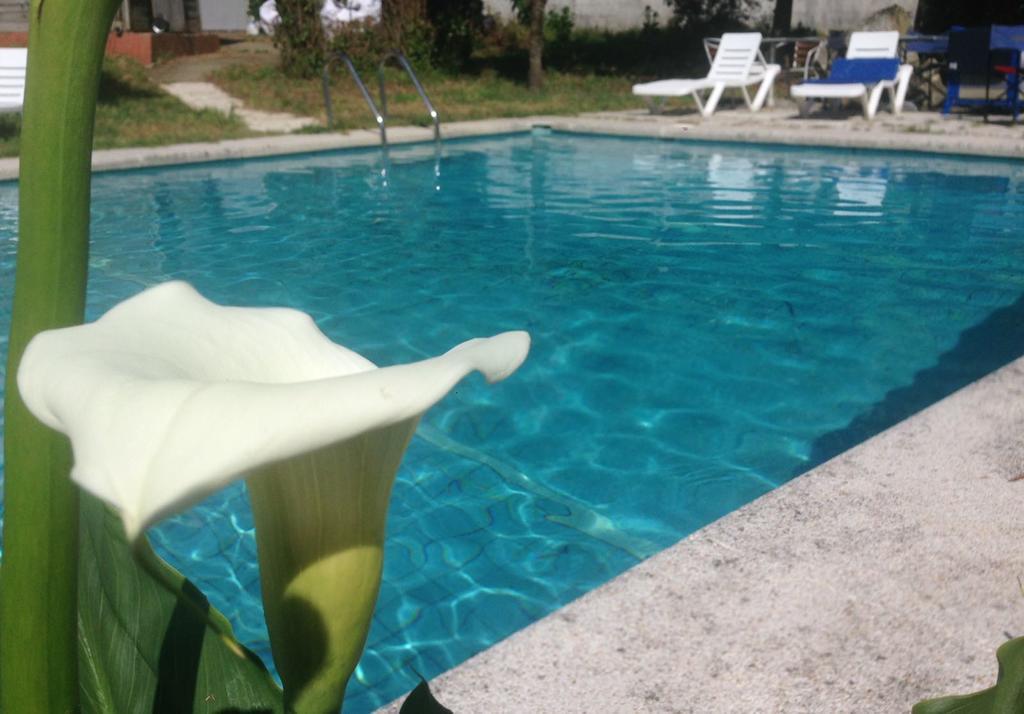 Hotel Vida Playa Paxarinas Portonovo Ngoại thất bức ảnh